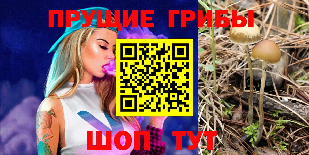 Псилоцибиновые грибы Psilocybine cubensis  Вход с VPN  Верхняя Пышма 